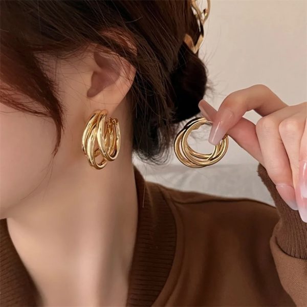 Punk Oval Hoop Earrings